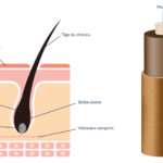 Tout savoir sur les cheveux peroxydés et comment les protéger