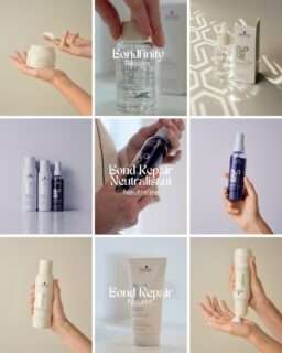 découvrez comment réussir la décoloration des cheveux blancs sans les abîmer grâce à nos conseils experts et astuces efficaces pour un résultat éclatant et en bonne santé.