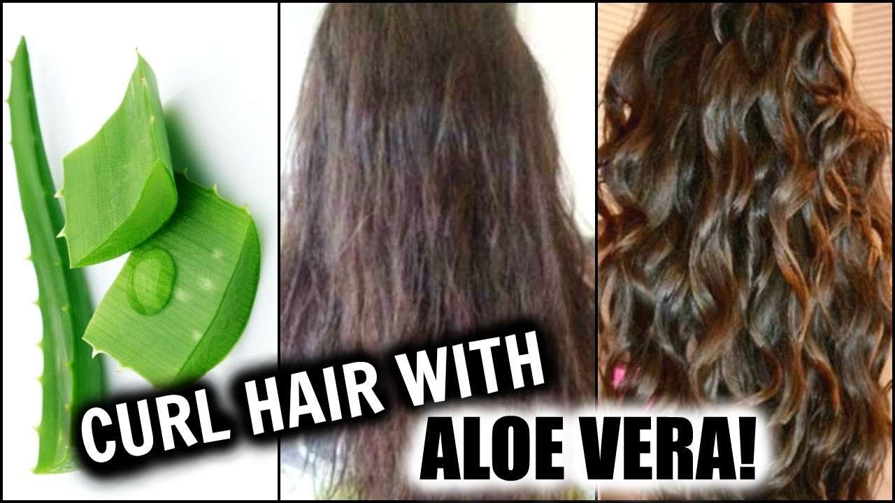découvrez les bienfaits de l'aloe vera pour les cheveux bouclés : hydratation, définition des boucles et réduction des frisottis pour une chevelure éclatante et saine.