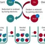 Quelle quantité d&rsquo;oxydant utiliser pour 100 ml de couleur