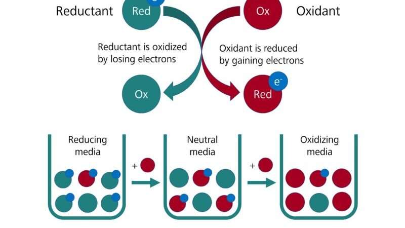 découvrez l'importance de la quantité d'oxydants dans les réactions chimiques et leur impact sur les processus biologiques et industriels.