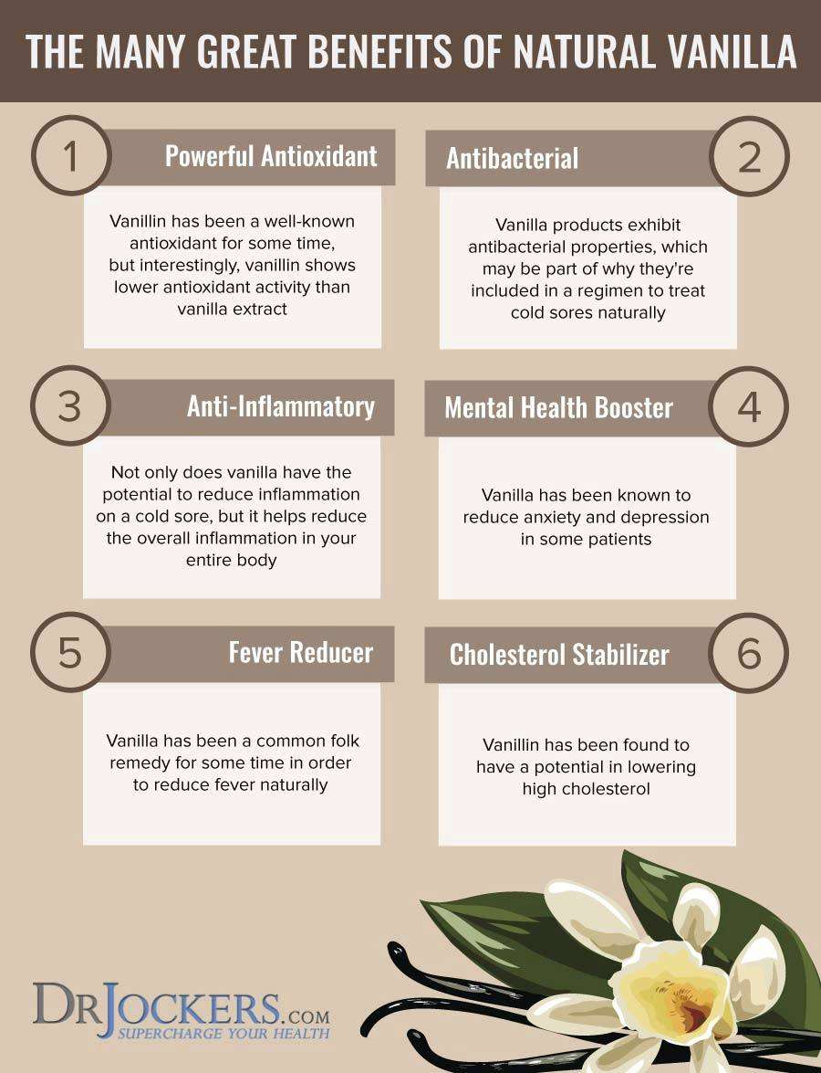 découvrez les bienfaits de la vanille : un ingrédient naturel aux vertus apaisantes, antioxydantes et aromatiques pour votre bien-être.