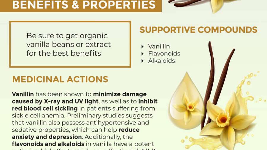 découvrez les bienfaits de la vanille pour la santé, la beauté et le bien-être. apprenez comment cette épice naturelle peut enrichir votre quotidien.